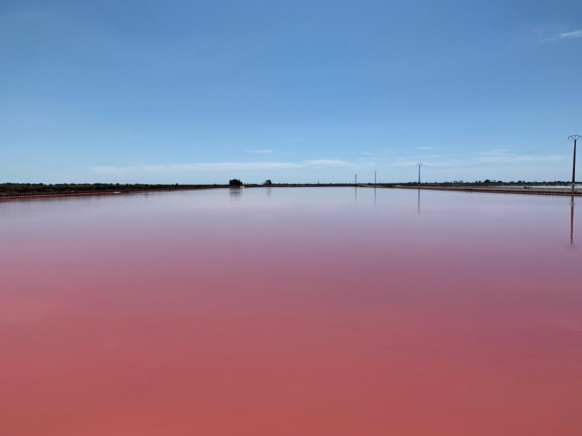 Cabane Maia Aigues Mortes Экстерьер фото